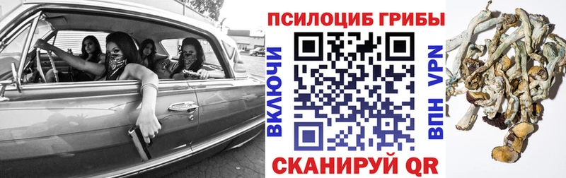 Галлюциногенные грибы GOLDEN TEACHER  кракен зеркало  Белинский 